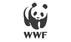 WWF Logo